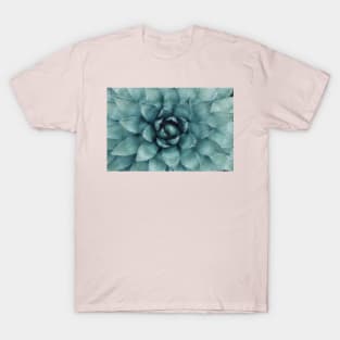 Low Poly Succulent T-Shirt